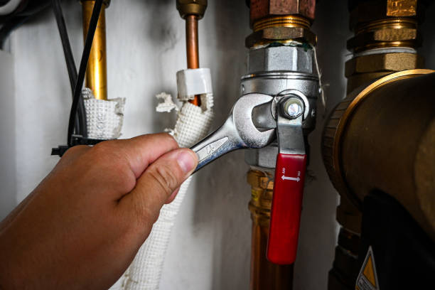 Best Drain Cleaning Services  in Elkins Rk, PA
